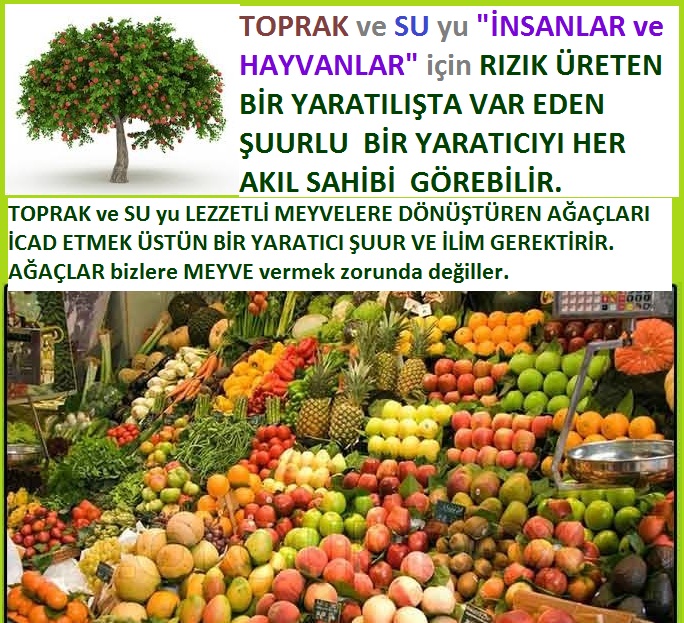 ALLAH ın delilleri,ALLAH, #ALLAH, allah-delilleri, allahin-delilleri, allahin delilleri, allah in varlığının delilleri,