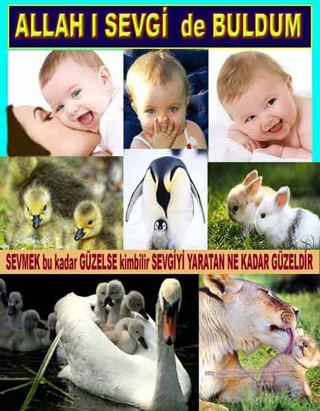 ALLAH ın delilleri,ALLAH, #ALLAH, allah-delilleri, allahin-delilleri, allahin delilleri, allah in varlığının delilleri,