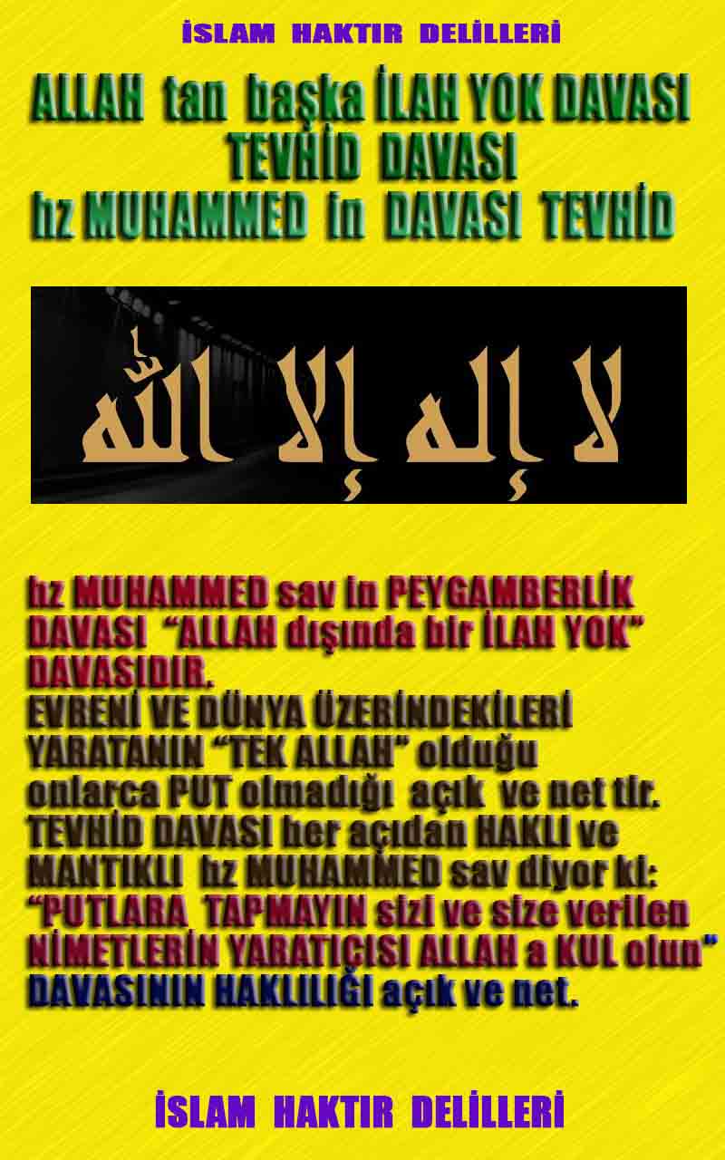 ALLAH ın delilleri,ALLAH, #ALLAH, allah-delilleri, allahin-delilleri, allahin delilleri, allah in varlığının delilleri,